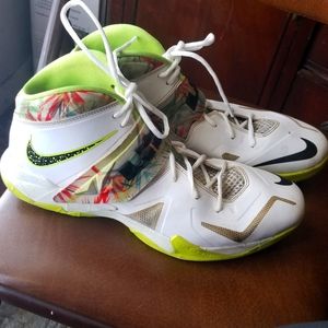 Nike Lebron James Zoom Soldier 7 Kings Pride